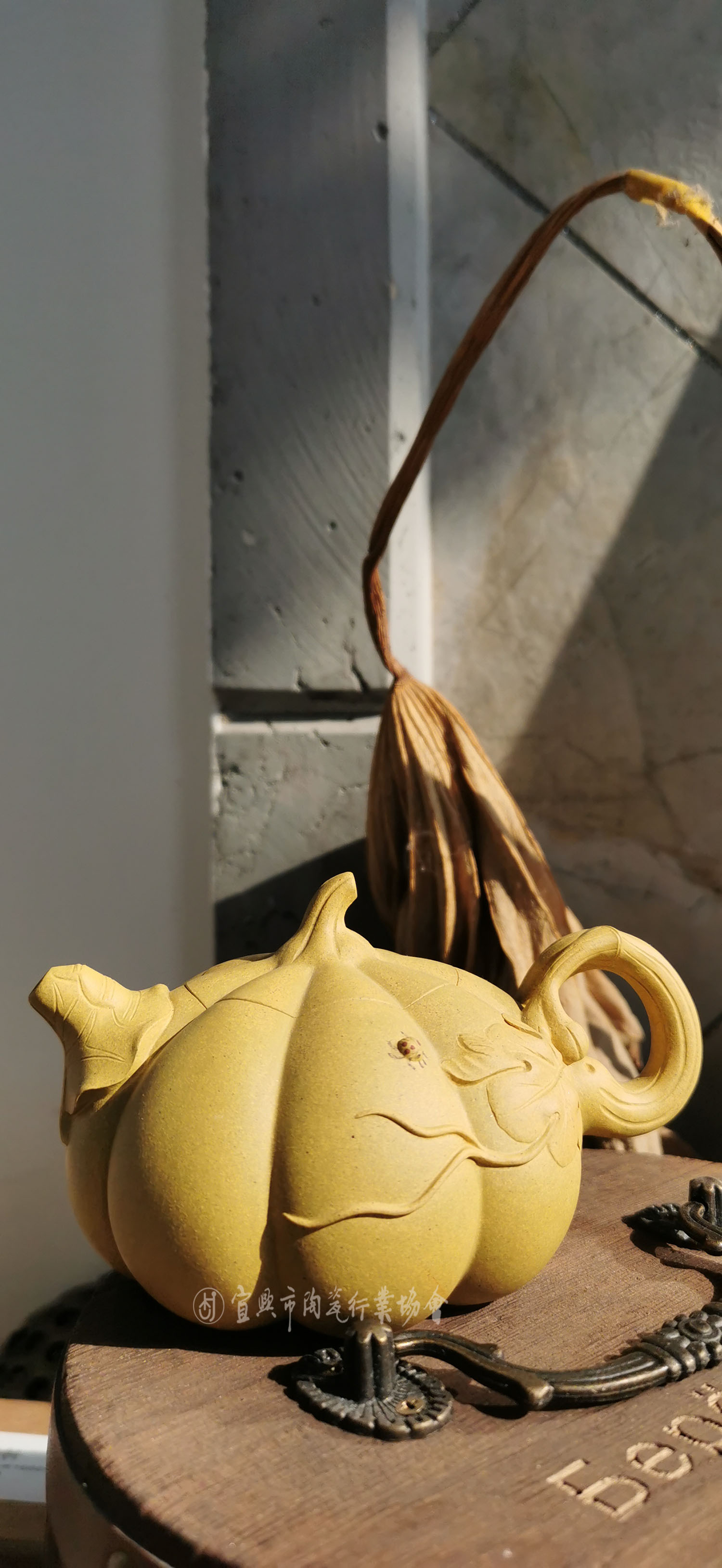 1609306176817209.jpg 瓜语1.jpg