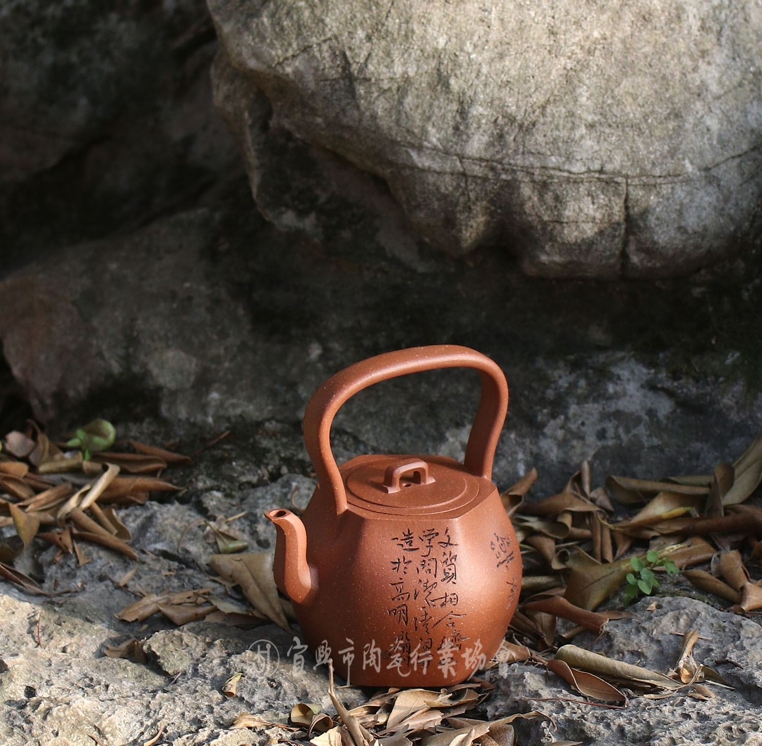 1609306336992190.jpg 菩提1.jpg