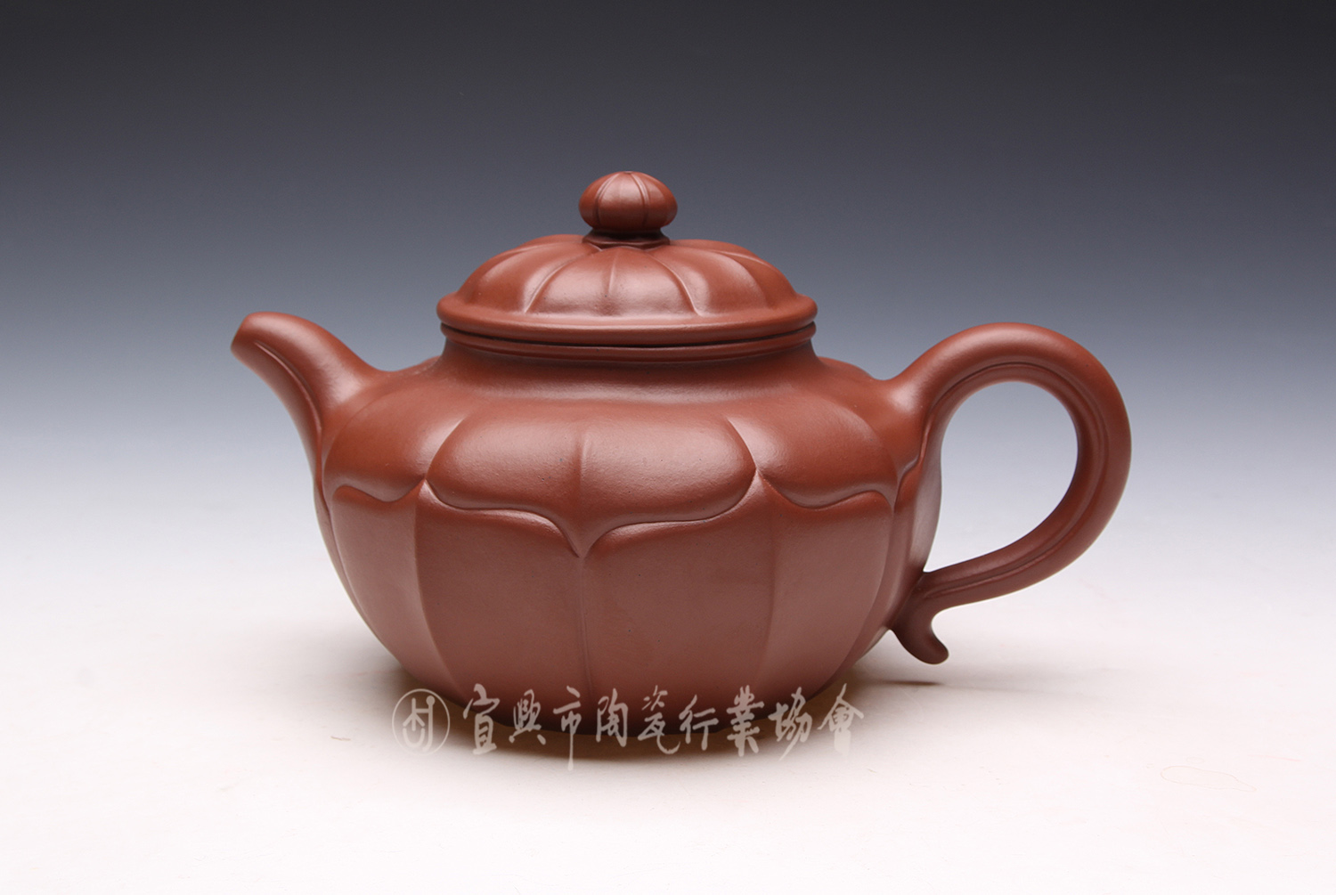 1609813104552214.jpg 六瓣莲子1.jpg