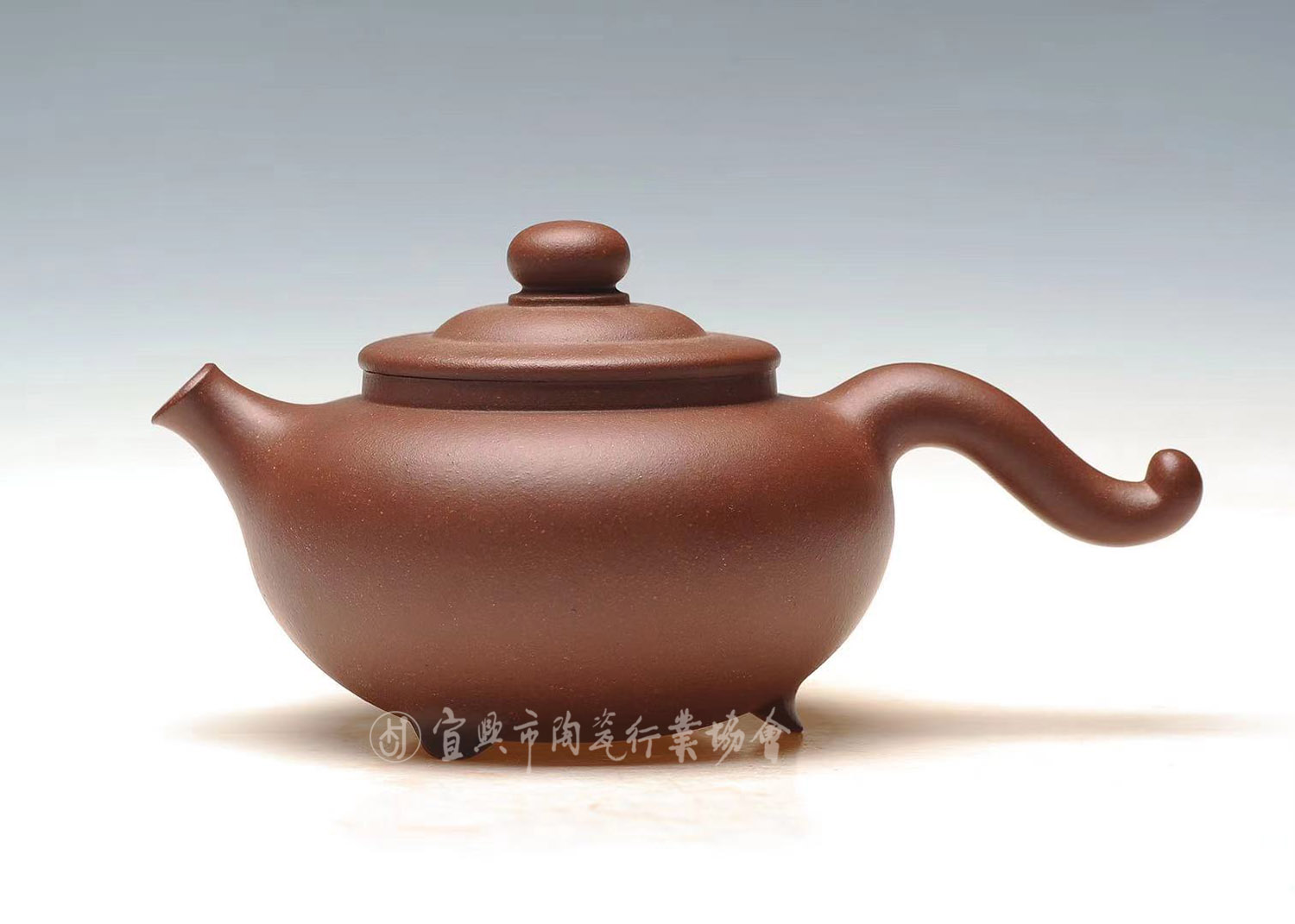 1610674144931139.jpg 飞羽.jpg