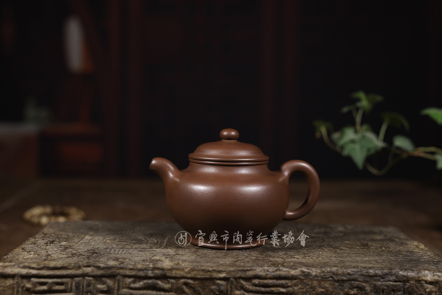 1611644742989187.jpg 掇只壶1.jpg