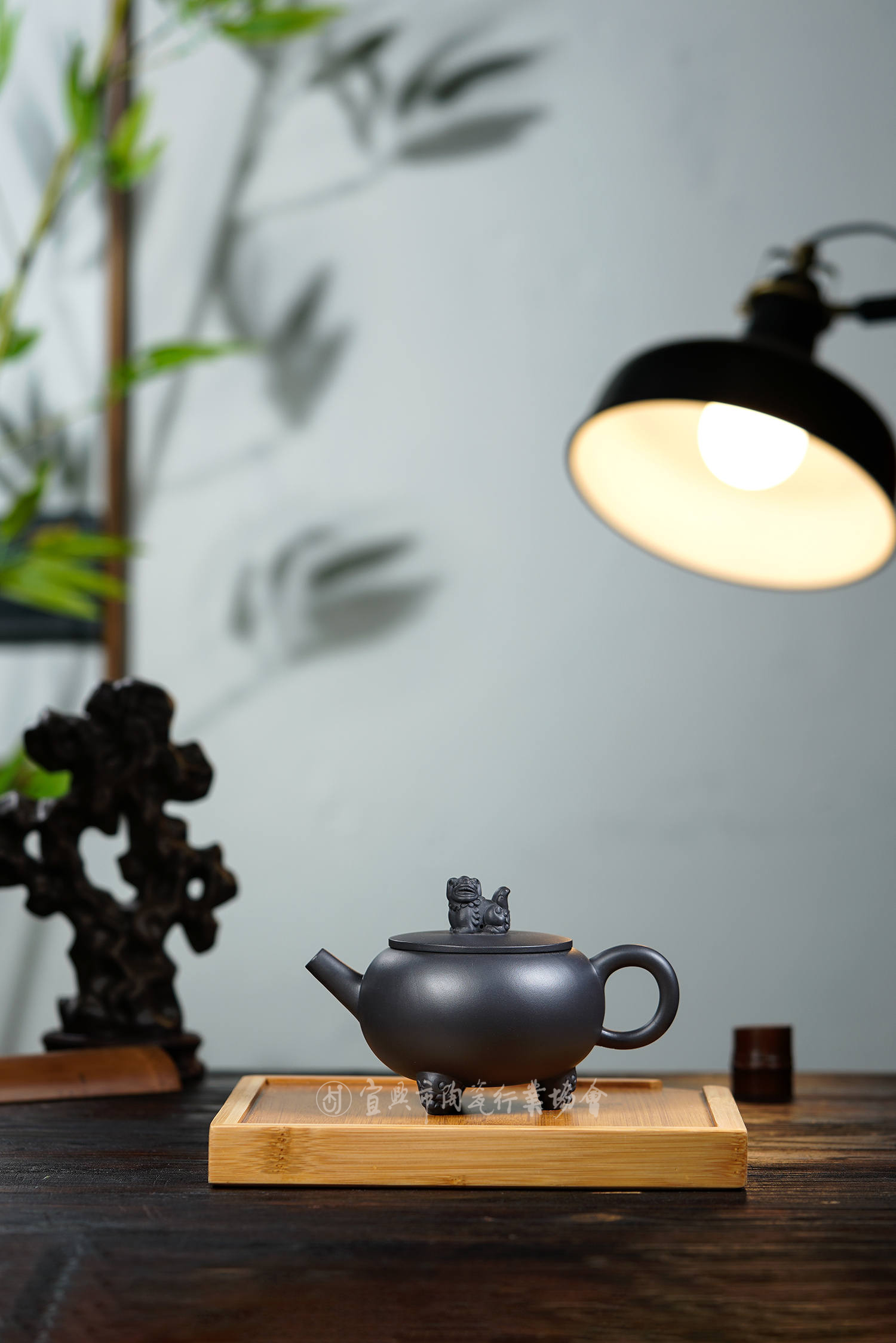 1619751018992899.jpg 狮行天下.jpg