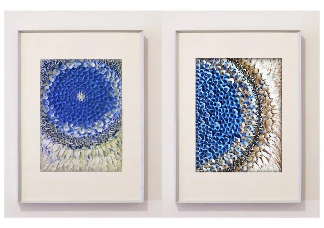 1637810029200327.jpg 37.jpg