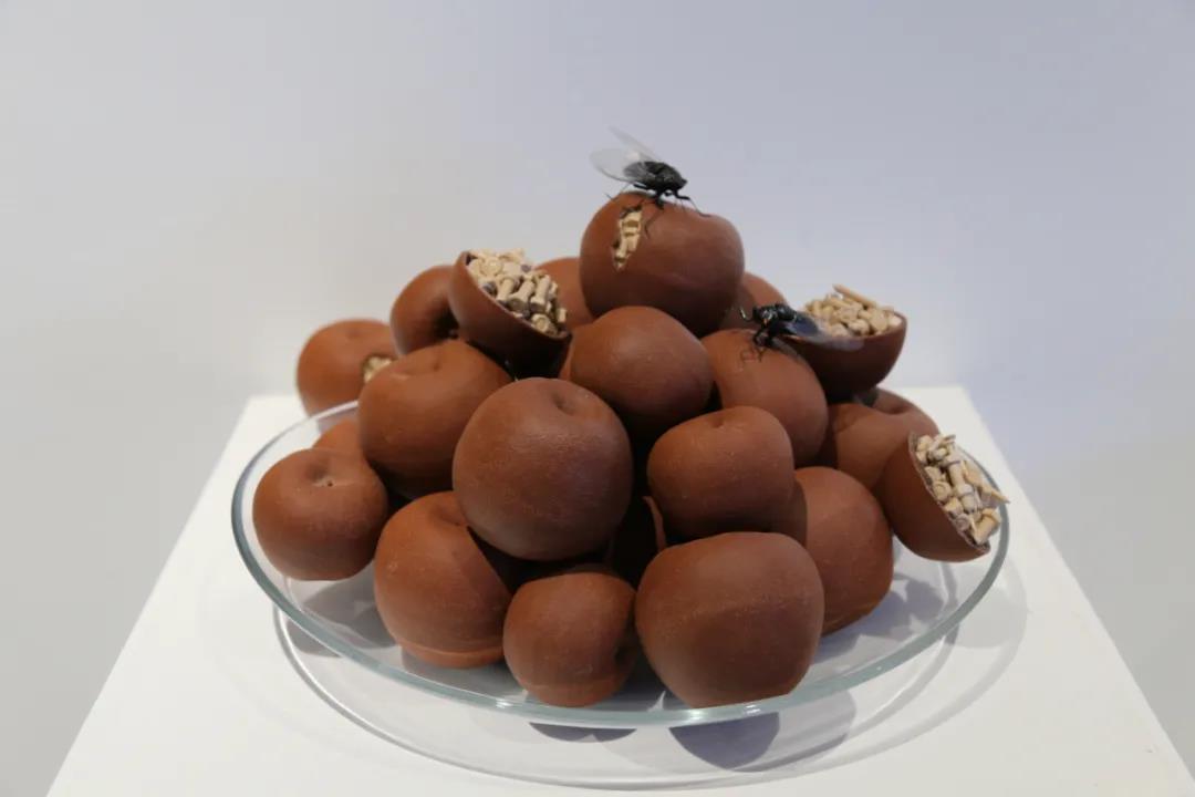 1637810233651279.jpg 55.jpg