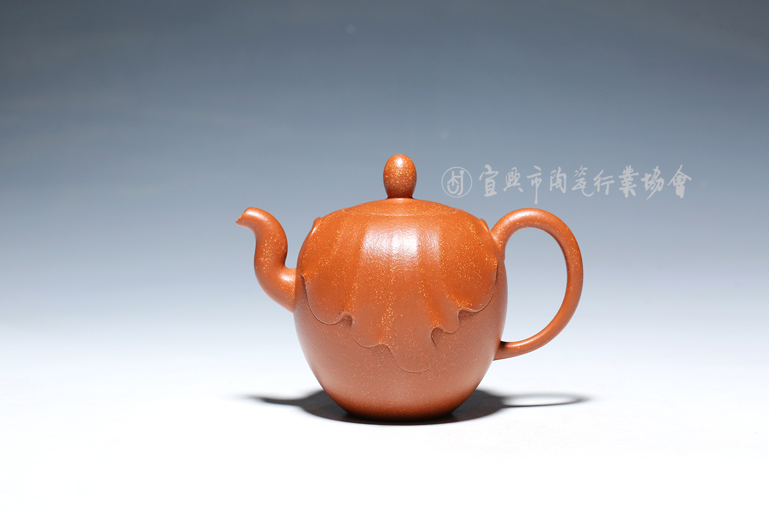 1645581733423798.jpg 美人肩.jpg