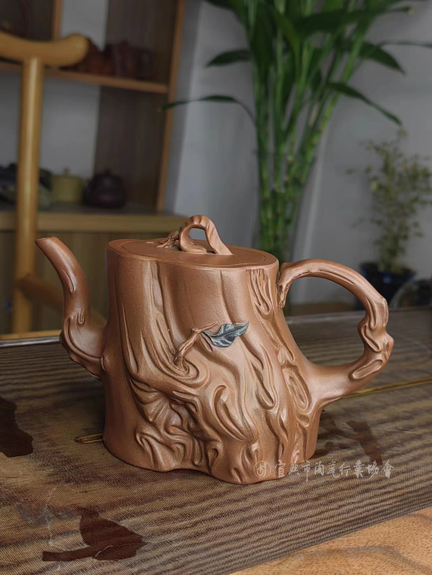 1702960524788677.jpg 枯木逢春.jpg