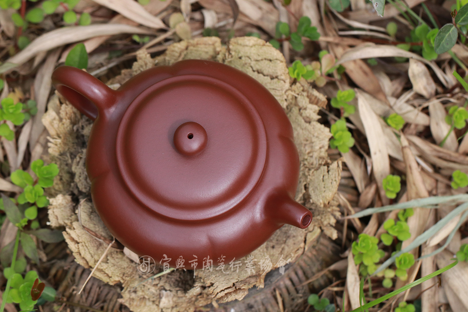 1705388346688018.jpg 合梅壶.jpg