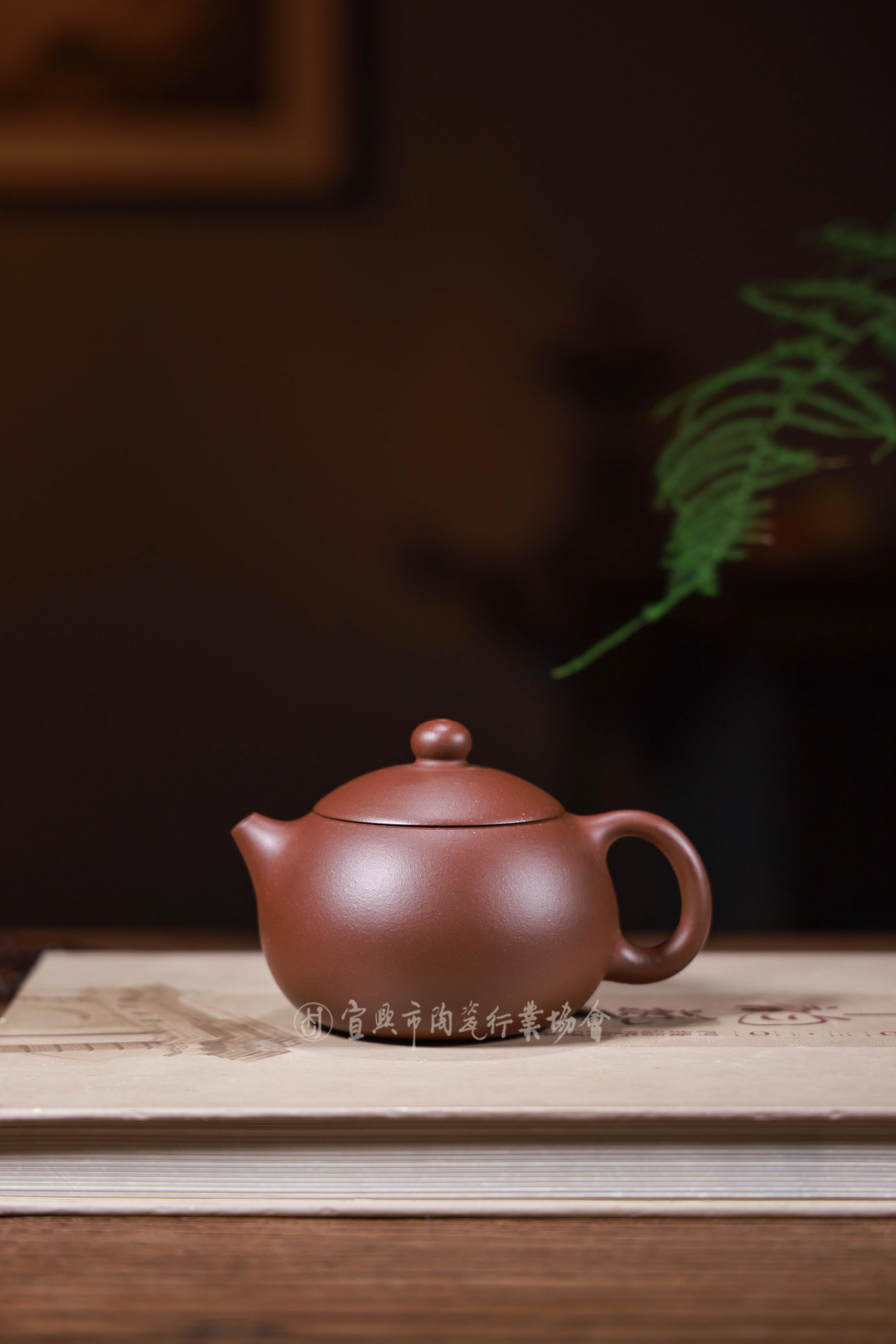 1719459164200962.jpg 西施.jpg