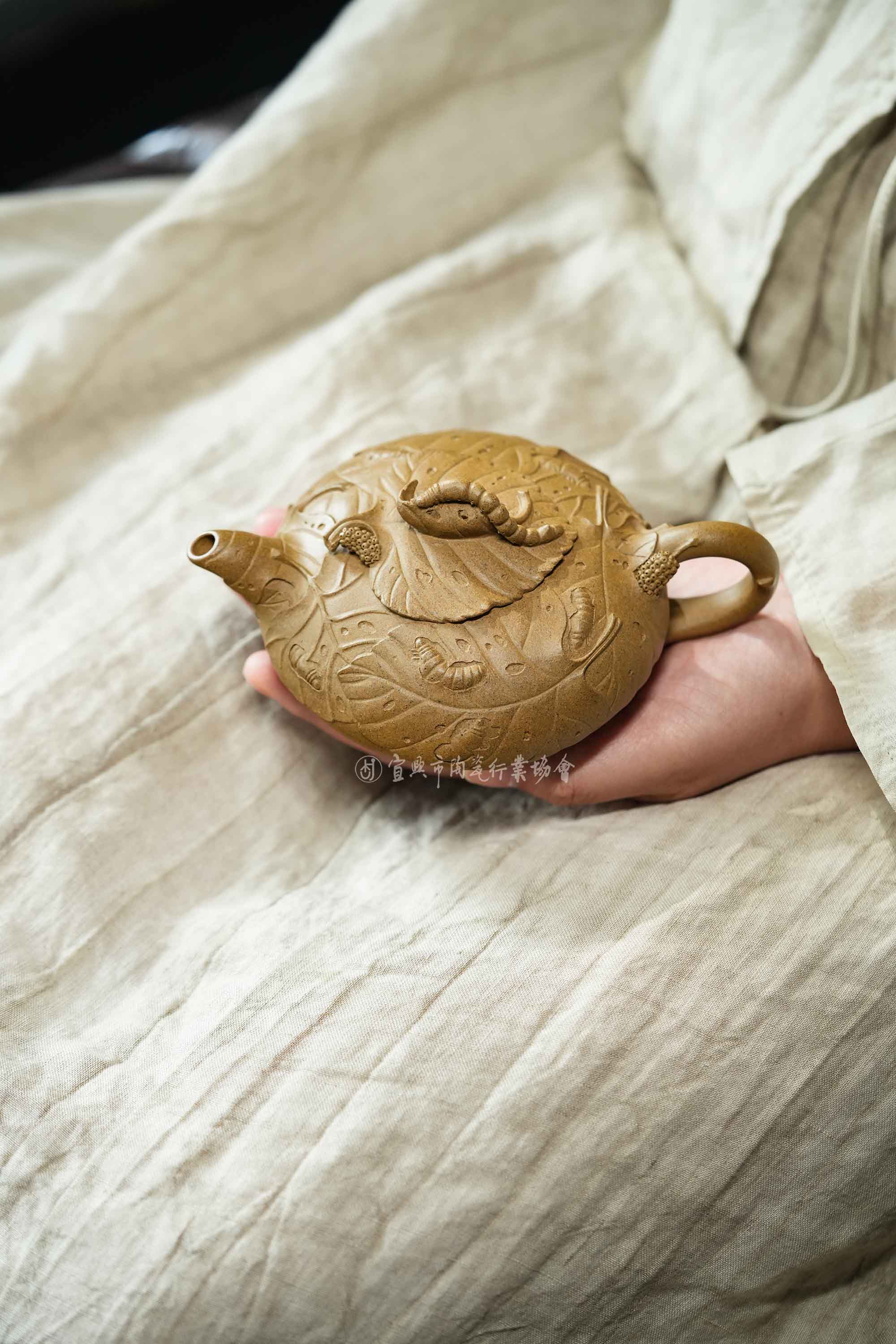 1737615887193914.jpg 微信图片_20250123144924.jpg