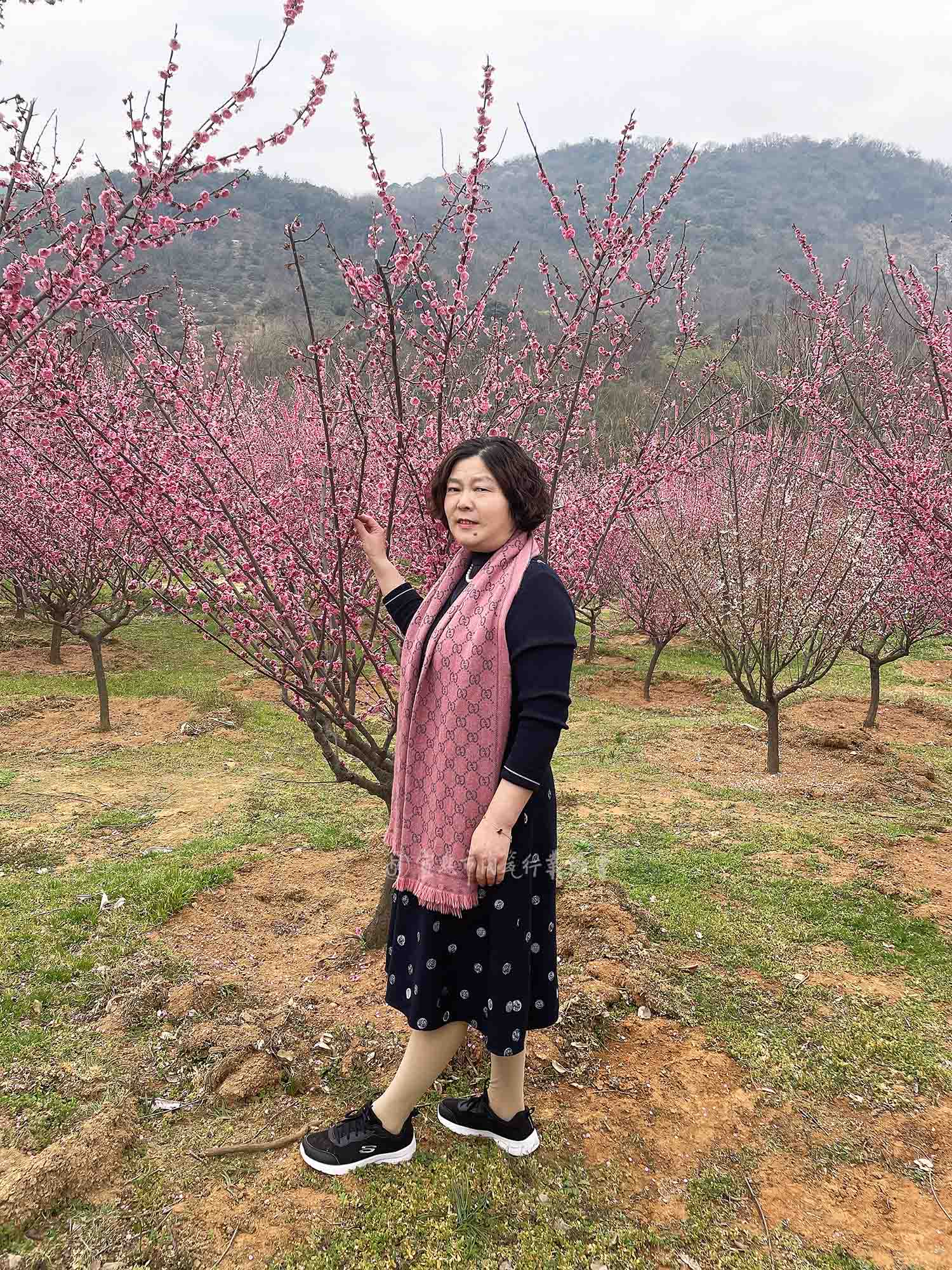 1762325224247028.jpg 微信图片_2025-11-05_104945_734.jpg